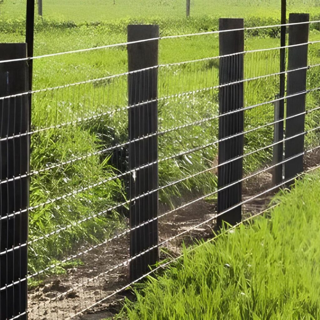 Ganapathy Wire Netting - Best Fencing Contractor – TATA knot fence - Fence Manufacturer