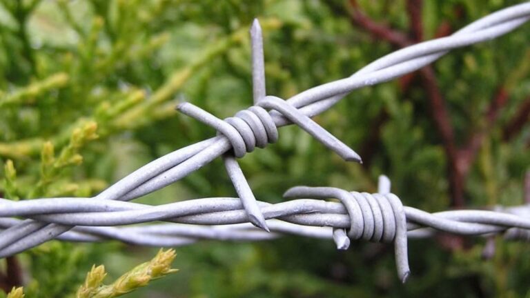 Ganapathy Wire Netting - Best Fencing Contractor – Introducing Our High-Quality Barbed Wire Fence - Fence Manufacturer